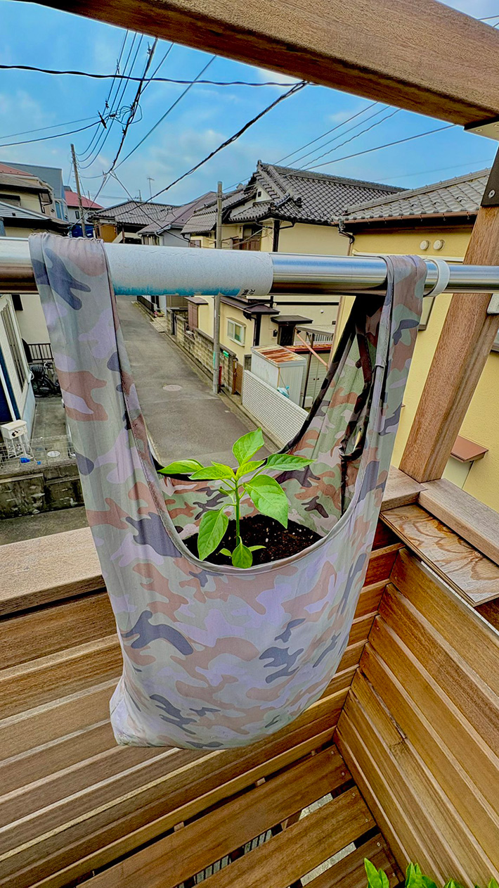 エコバッグの写真