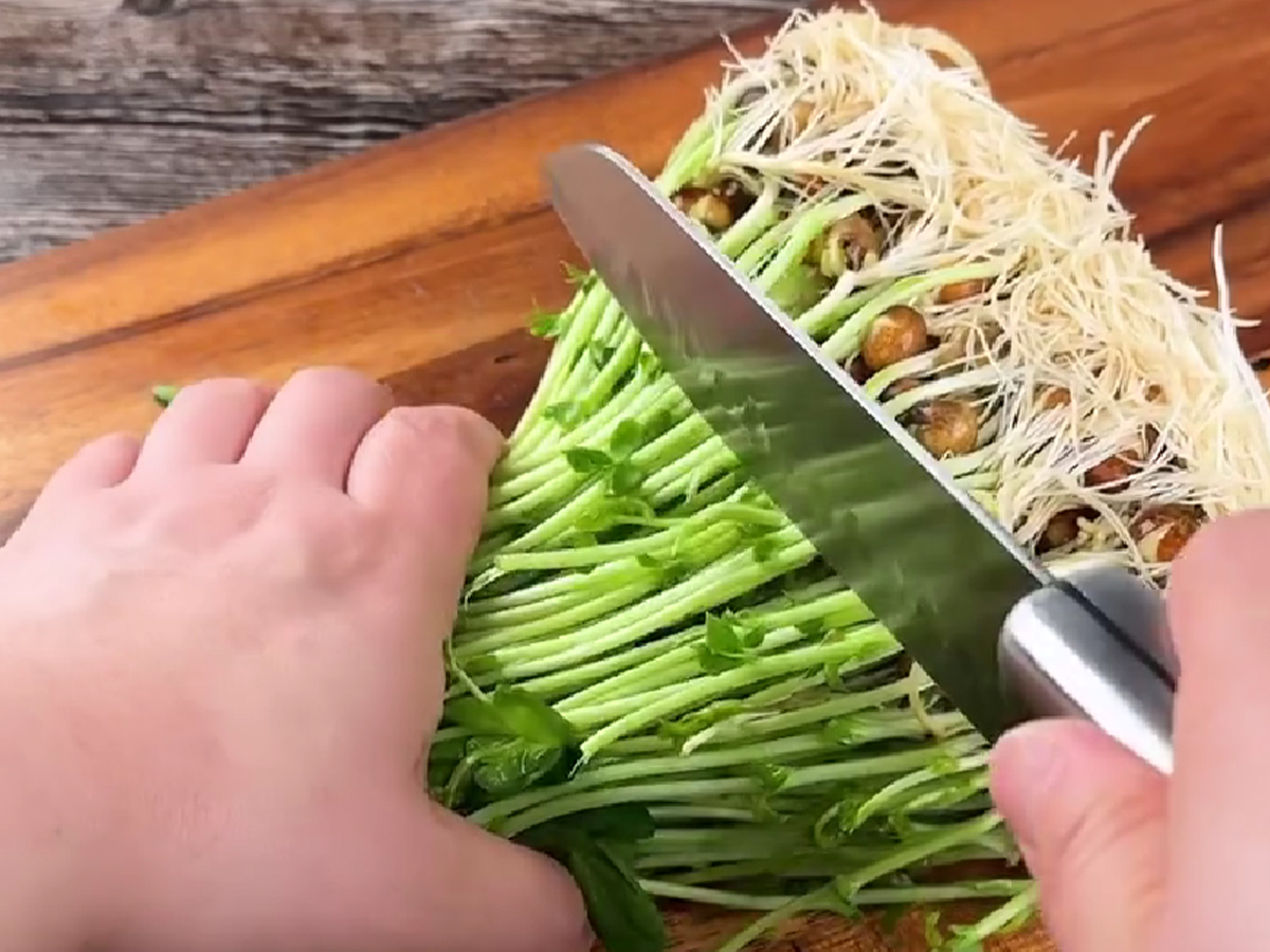 『ふわとろ肉巻き』のレシピ