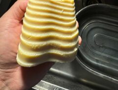 タケノコの写真