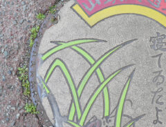 山口県にあるマンホール