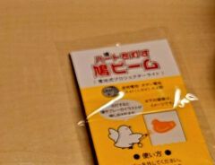 『鳩ビーム』の写真