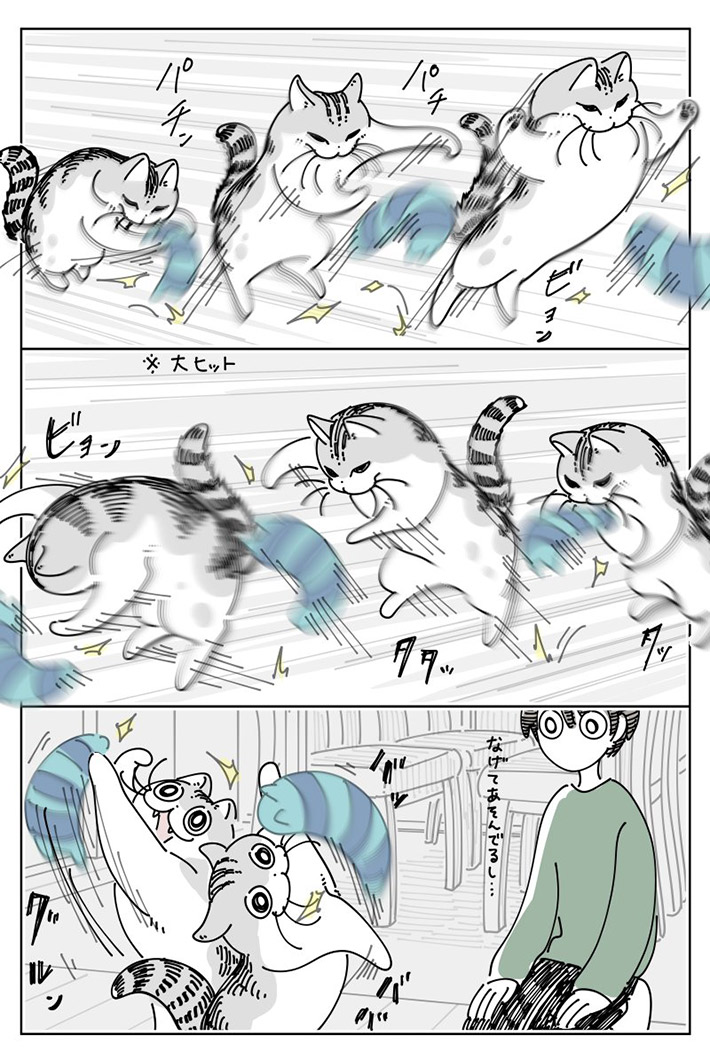キュルZ（@kyuryuZ）さんが描いた『猫あるある』の漫画