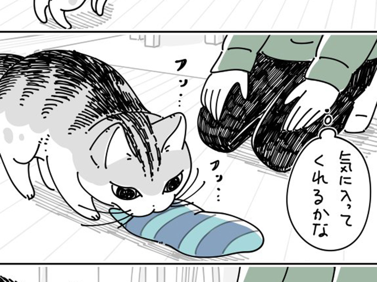 キュルZ(@kyuryuZ)さんが描いた『猫あるある』の漫画