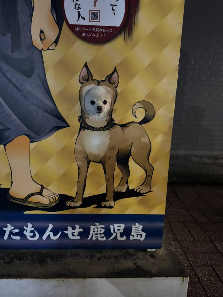 犬の画像