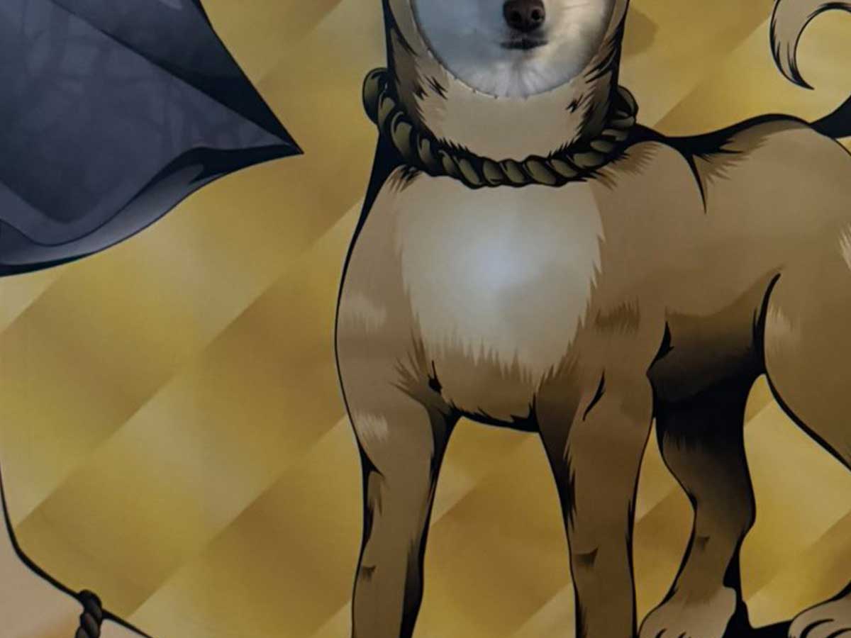 犬の画像