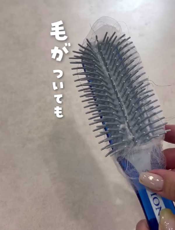クシの画像