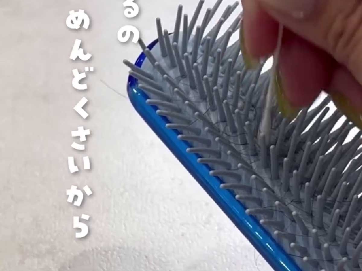 クシの画像