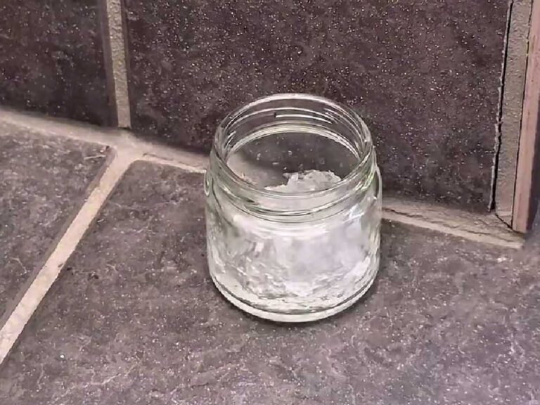 ゴキブリ対策の画像