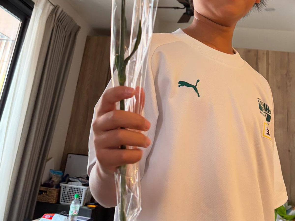 中学生の息子の写真