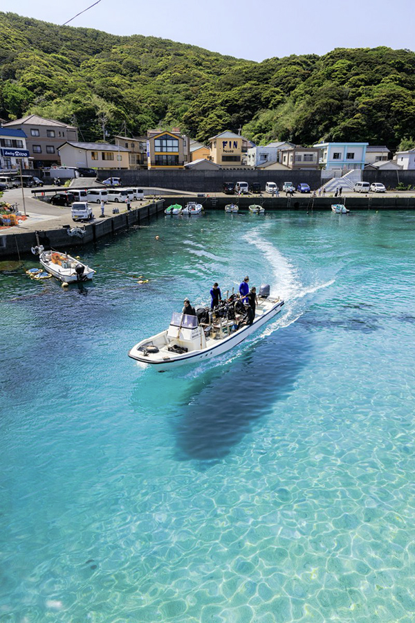 高知県の海の写真