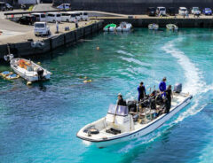 高知県の海の写真