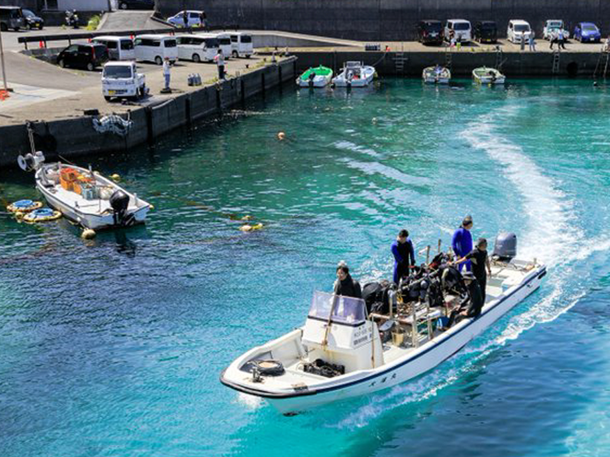 高知県の海の写真