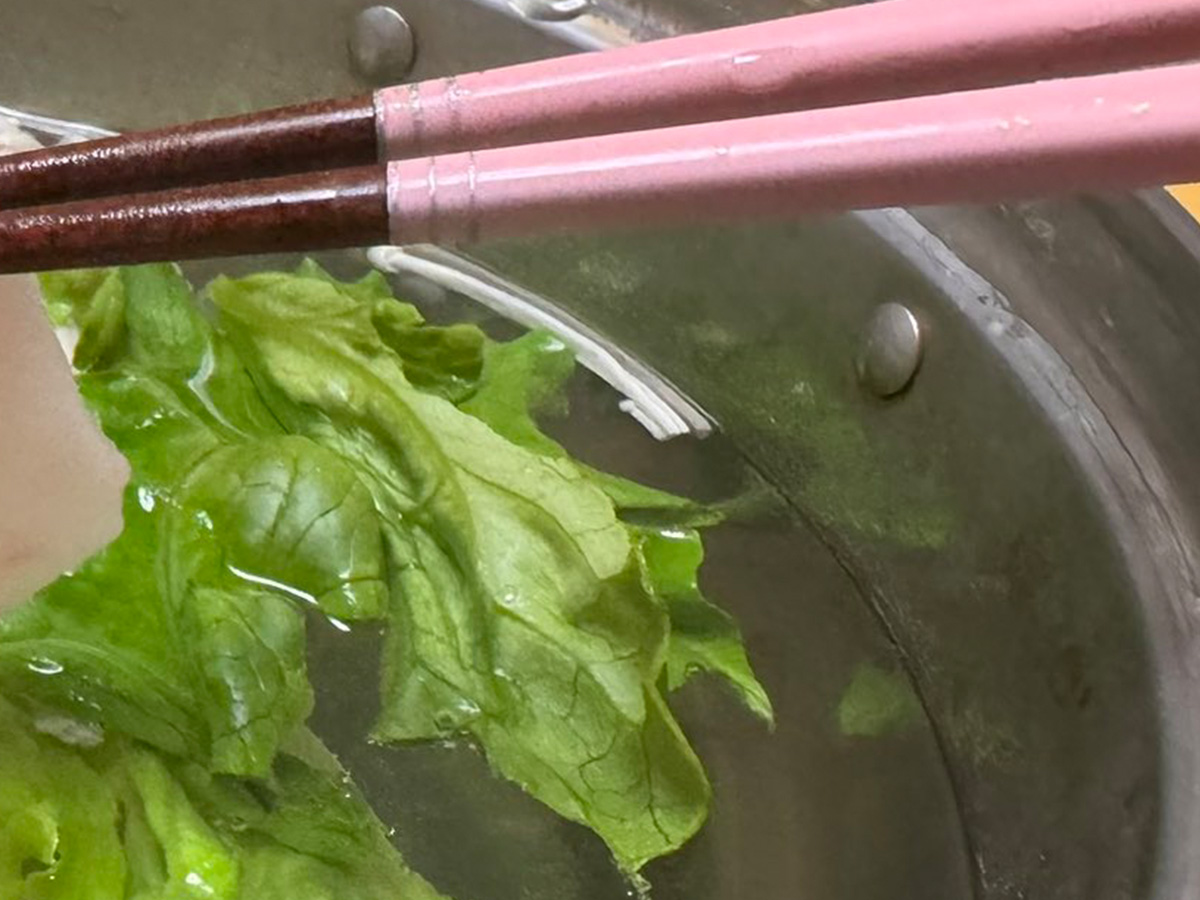 レタスの写真