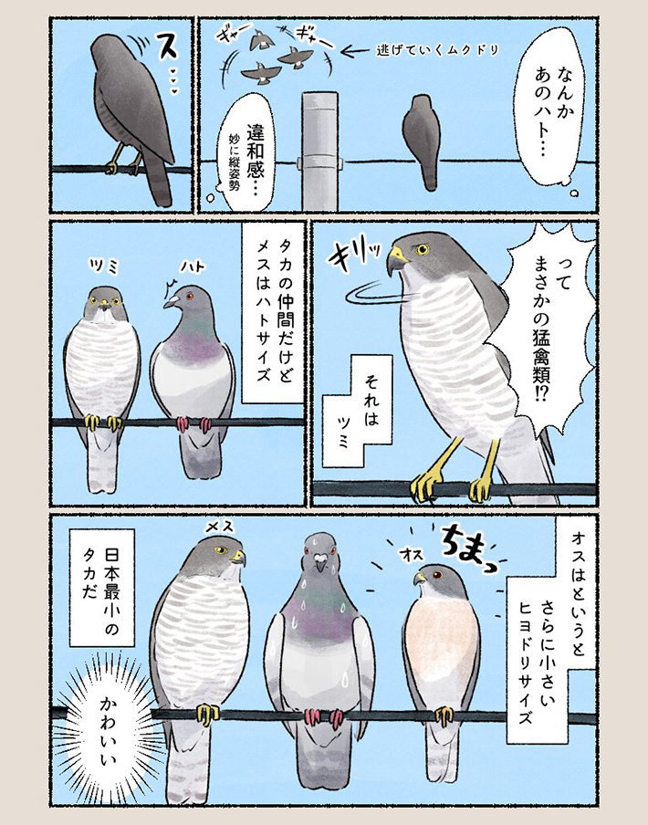 漫画の画像