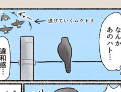 漫画の画像