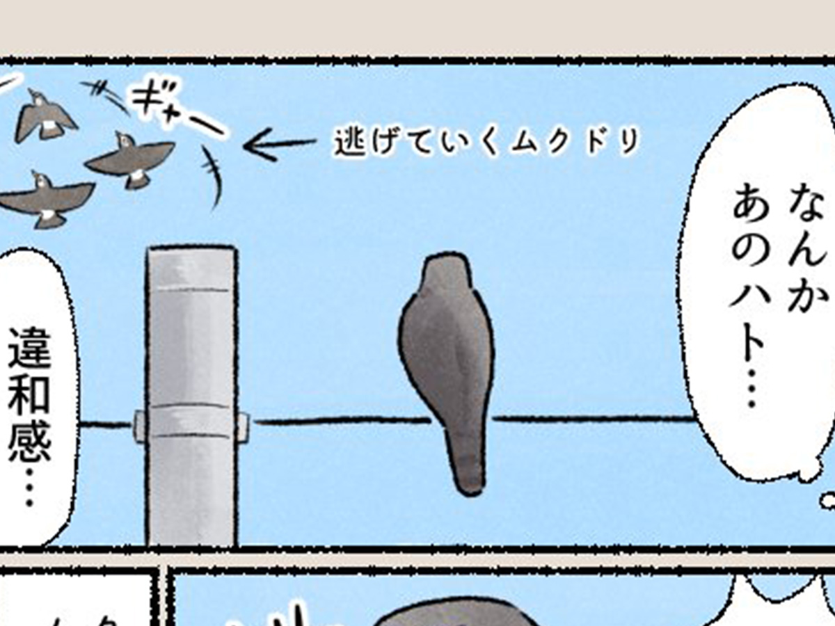 漫画の画像