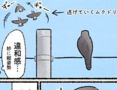 漫画の画像