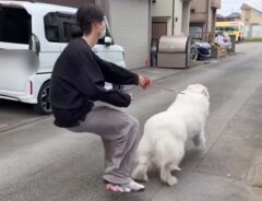 doremi_noutaさんの投稿動画
