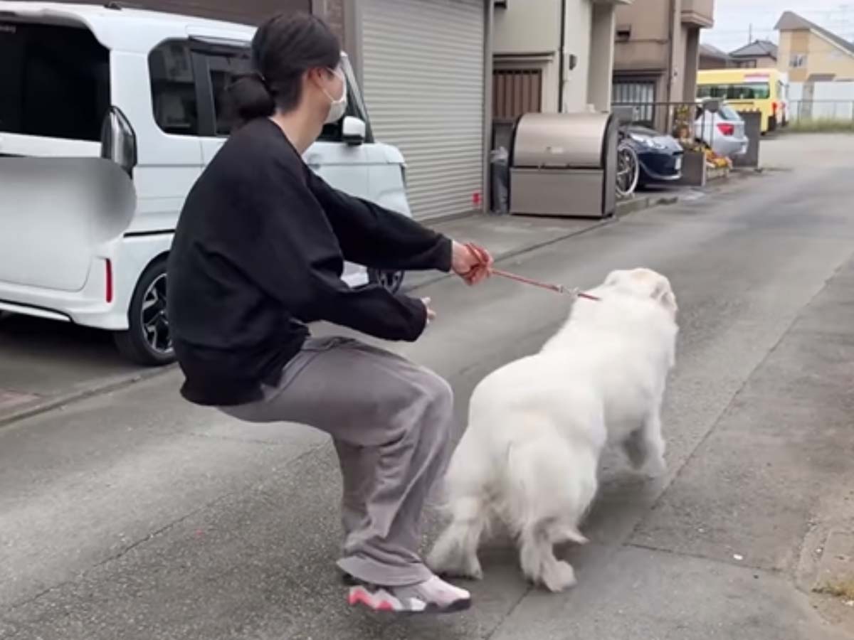doremi_noutaさんの投稿動画