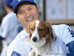 大谷翔平選手とデコピン