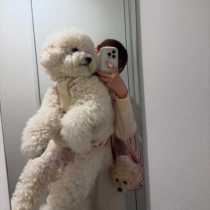 犬の写真