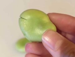 そら豆レシピ