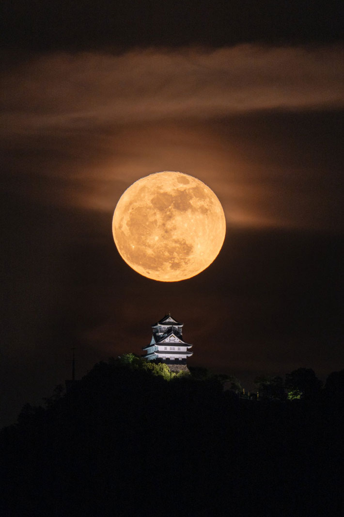 岐阜城とフラワームーン
