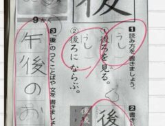 子供の宿題