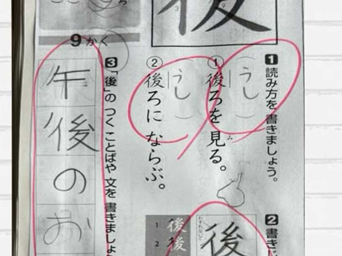 子供の宿題