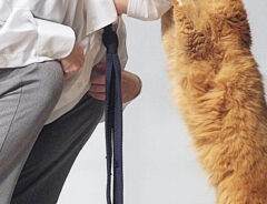 猫と飼い主さん