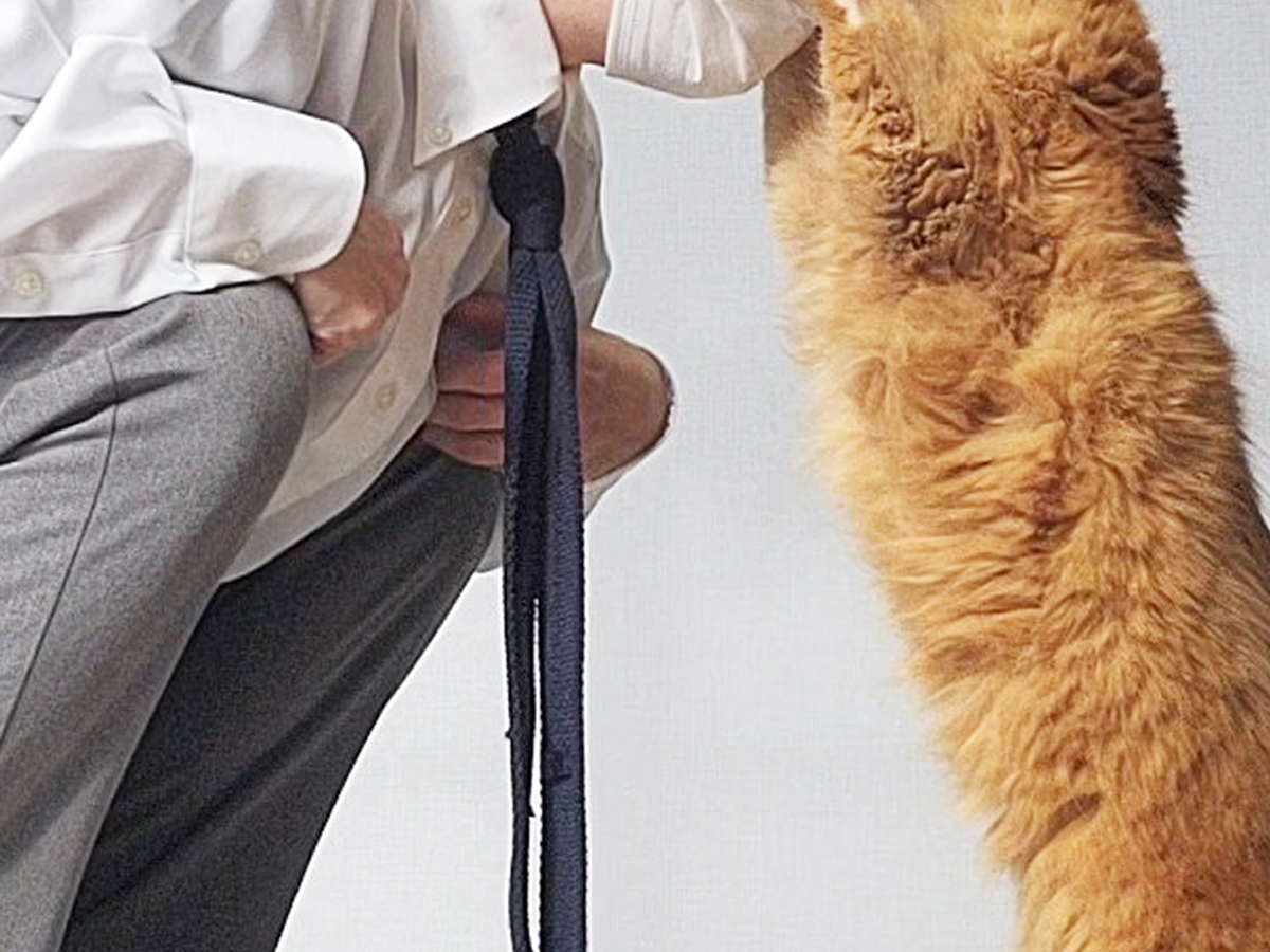 猫と飼い主さん