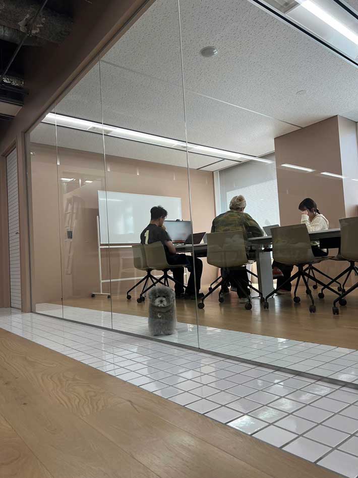 社員として働く犬