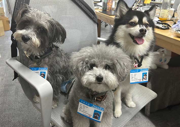 社員として働く犬