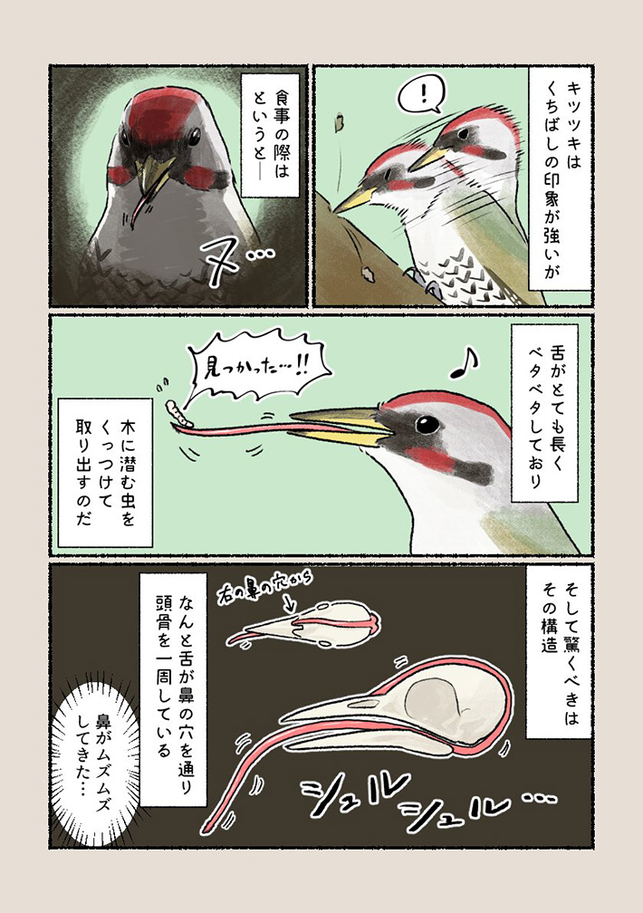 漫画の画像