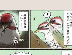 漫画の画像