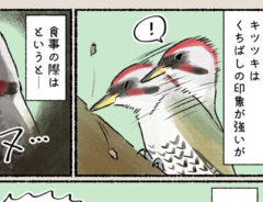 漫画の画像