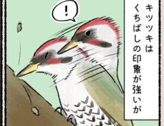漫画の画像