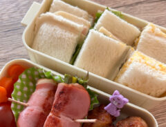 小学生娘が作った弁当