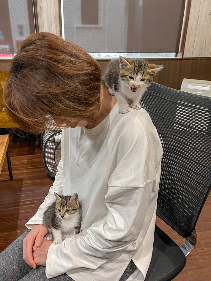 人の写真