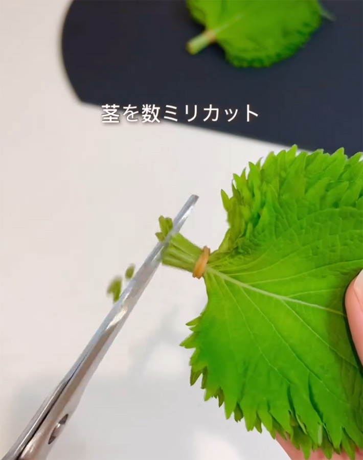 うりさん（uri_kurashi）が紹介した、大葉をしなしなにしない方法