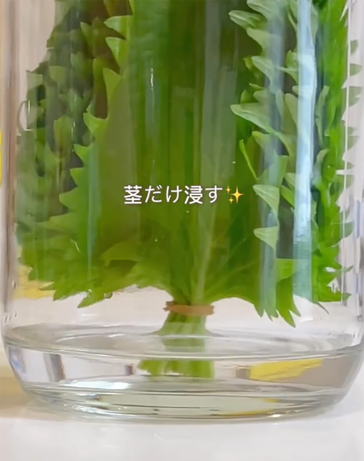 うりさん（uri_kurashi）が紹介した、大葉をしなしなにしない方法