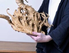 ダンボール作品の画像