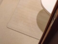 トイレの猫　
