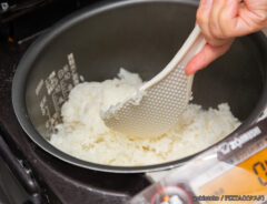 炊飯器の中のご飯