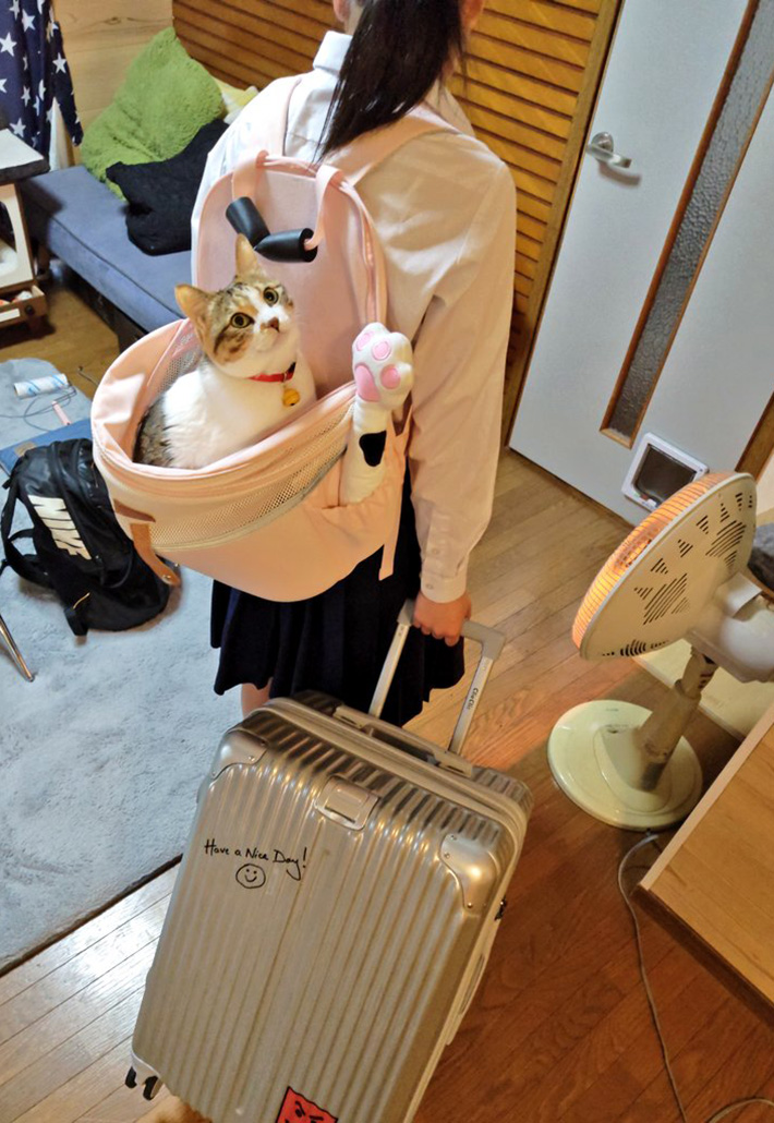 nyaoko（@happynyaoko）さんが投稿した、猫のテンちゃんと娘さん