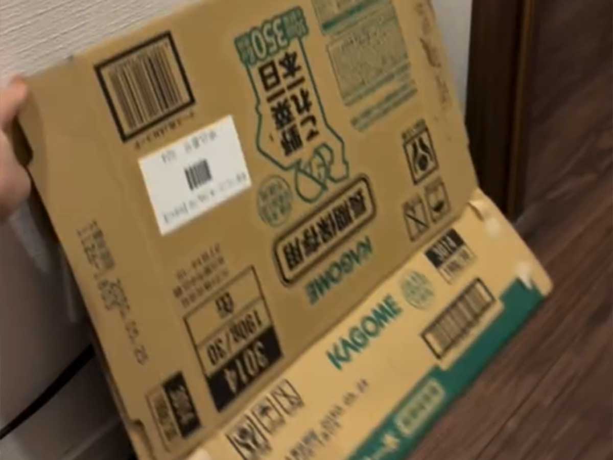 ゴキブリが来るNG行為