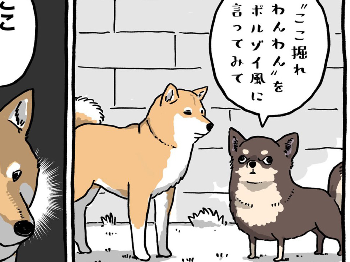 漫画の画像