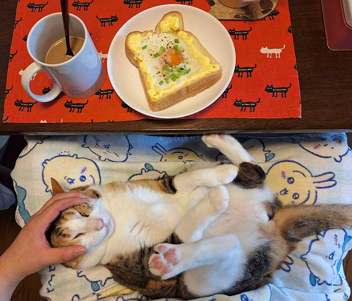 猫とトースト