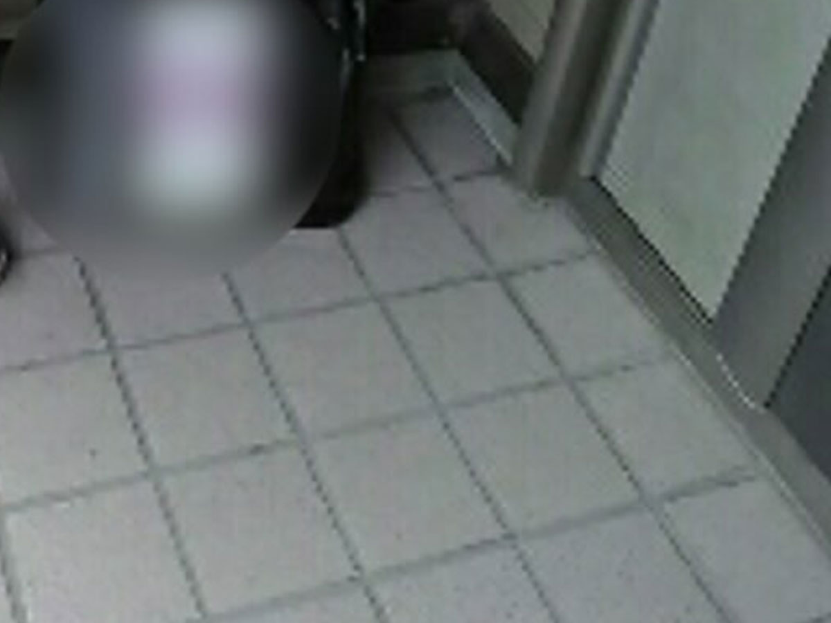 配達完了メールの写真