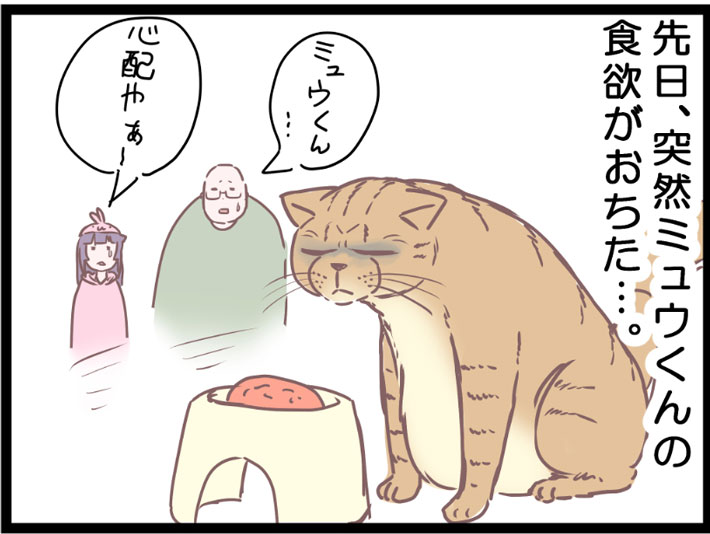 愛猫の食欲がなくなり心配する飼い主